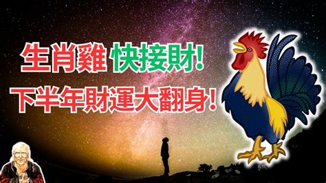 屬雞今年幸運色|雞年開運色：2024年必備指南